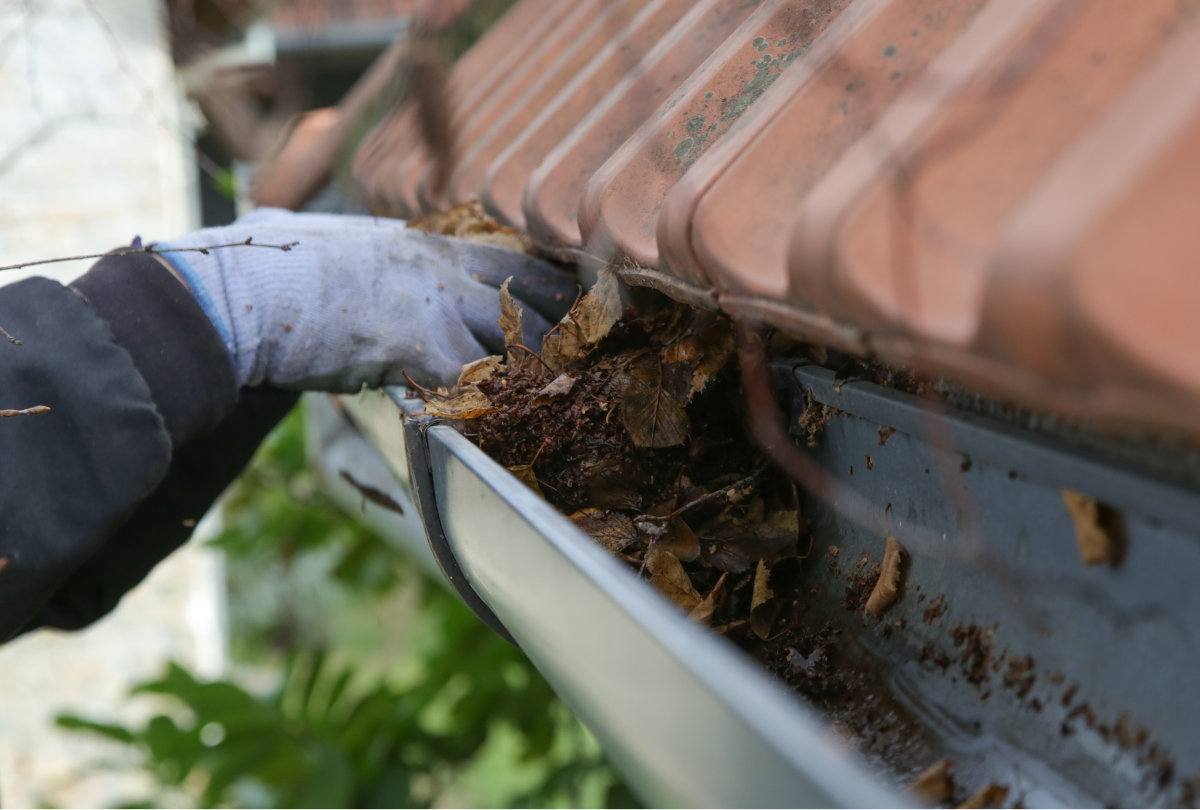 clogged gutters