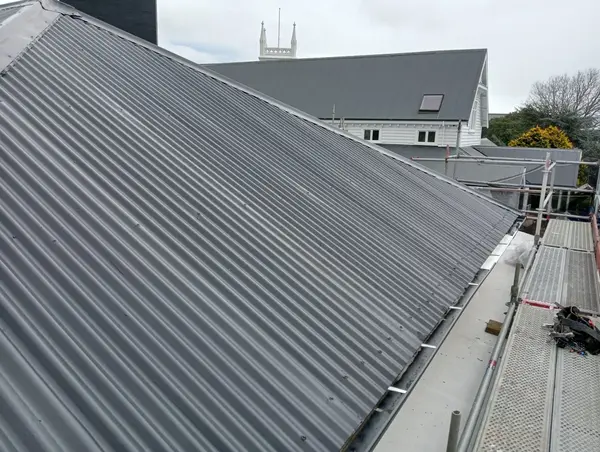 roof painting factors